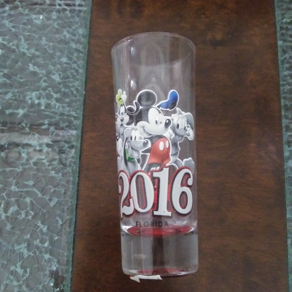 Disney 2016 souvenir